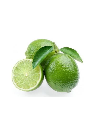 2 Yaş Aşılı Bodur Dikensiz Meksican Lime Fidanı. Torbada