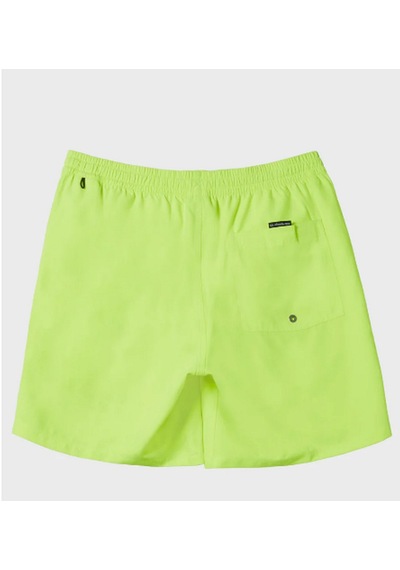 Quiksilver Quıksılver Everyday Solıd Volley 15 Erkek Şort Aqyjv03153-qk.yhj0 001