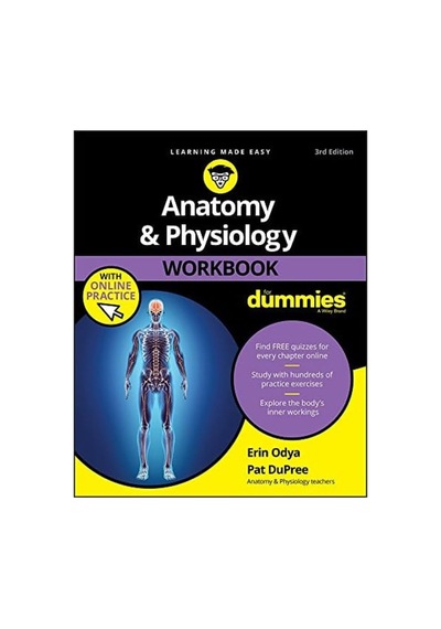 Anatomy & Physiology Workbook For Dummies With Online Practice