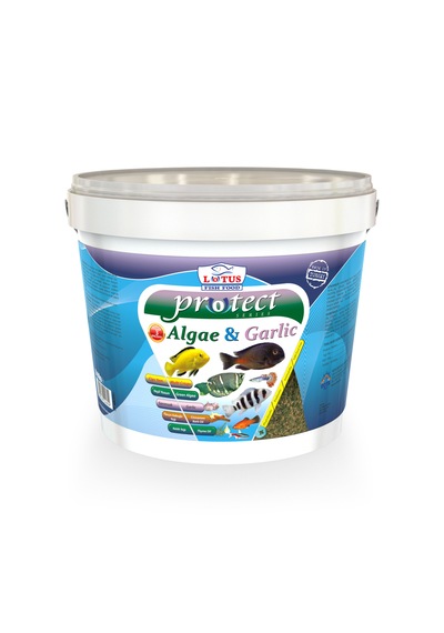 Lotus Protect Algae Garlic Kova Balık Yemi 2400 G