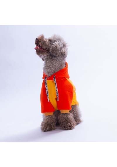 Turuncu Vermont Autumn Köpek Hoodie Köpek Sweat Köpek Kıyafeti Kedi Kıyafeti