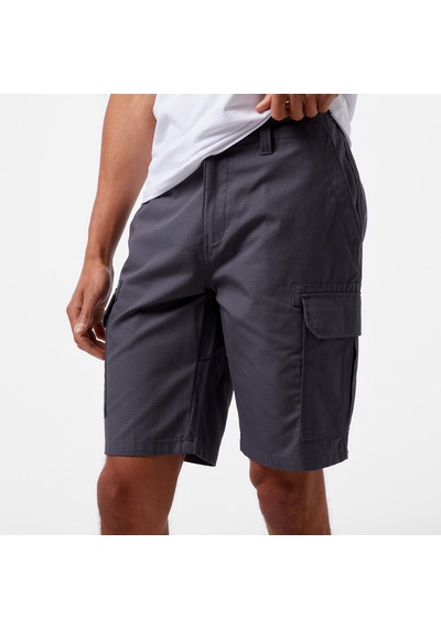 Dickies Millerville Erkek Gri Şortdk0a4xedch01