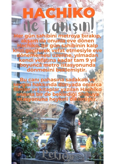 Petjoo 19.Hachiko Gri-Turuncu Qr'lı Köpek Künyesi