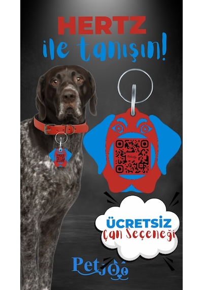 Petjoo 26.Hertz Mavi-Kırmızı Qr'lı Köpek Künyesi
