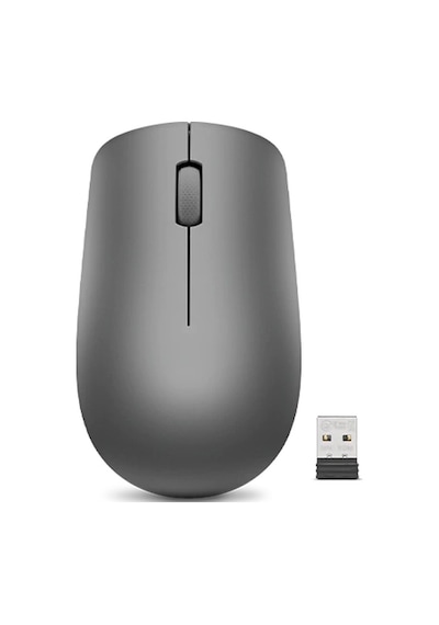 Lenovo 530 Kablosuz Optik Mouse