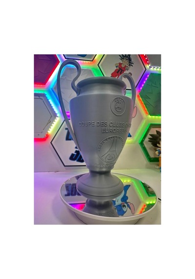 Avrupa Kupası Temalı 3d Baskı Dekoratif Kupa Futbol Severlere Özel Hediye