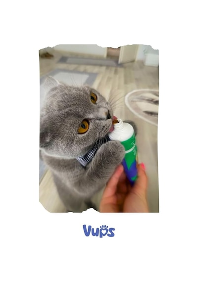 Vups Tüy Dökülme Engelleyici Kedi Malt Macunu 100 Gr