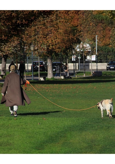 Köpekler İçin 10 M Çekme Halatı, 2 Karabina Kancalı Köpek Tasması, Küçük İla Büyük Köpekler İçin Antrenman İpi, Turuncu