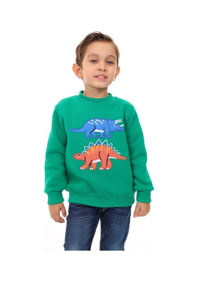Toontoy Kids Toontoy Erkek Çocuk Nakışlı Sweatshirt Çimen Yeşili