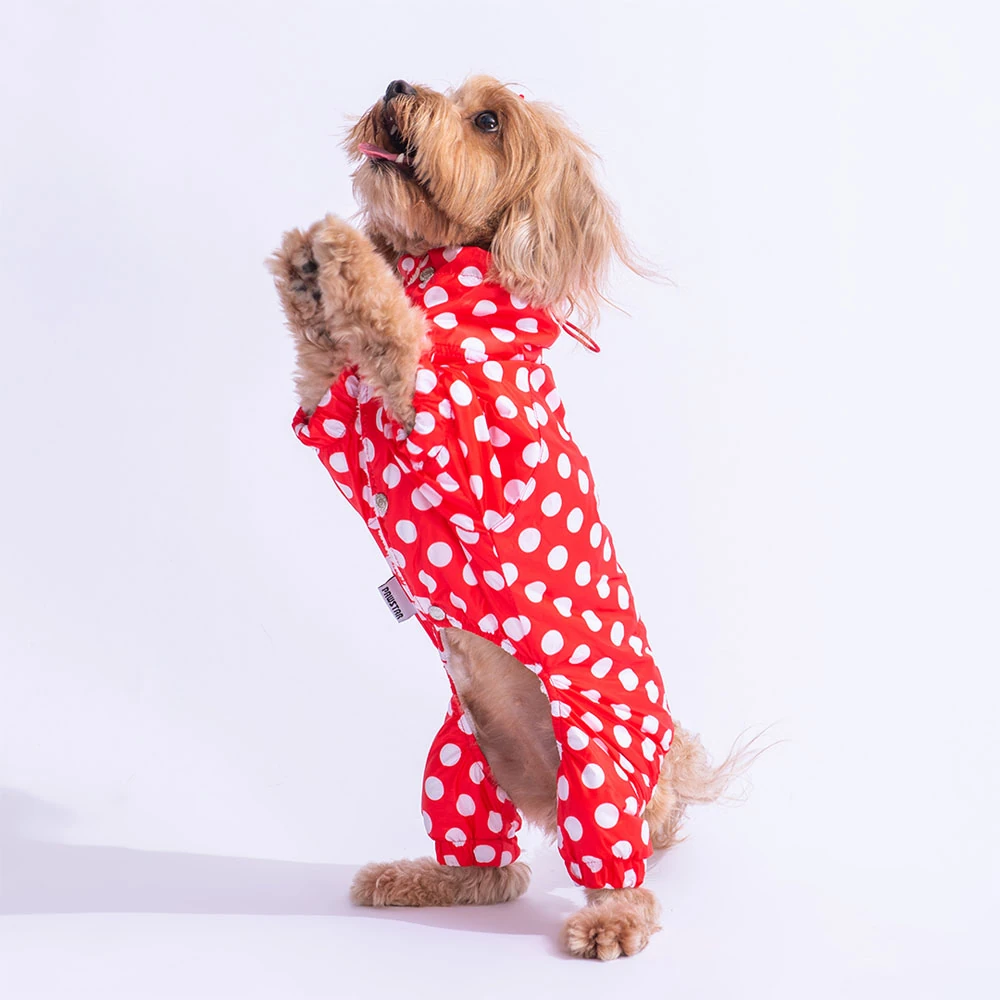 Dots Polarlı Kedi Köpek Tulum Yağmurluk