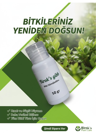 Birok's Gibb 50 Ml Bitki Çoşturan
