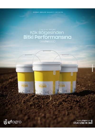 Yf Agro Calvıa Prıme 10 Lt 10 KG