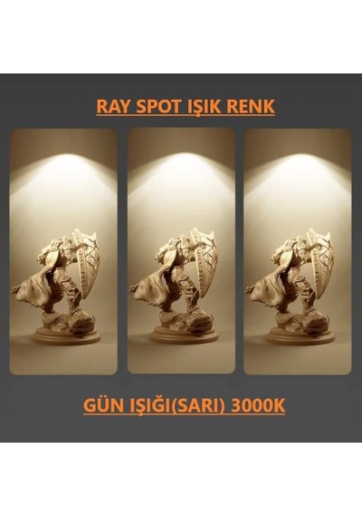 30W 3 Adet Ray Spot 1 Adet Ray(1Mt) Mağaza Vitrin Ev Ofis(313904209)