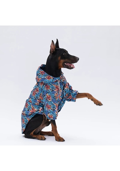 Pawstar Autumna Polarlı Orta Büyük Irk Köpek Yağmurluk