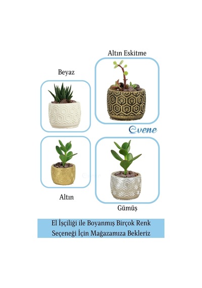 Mini Çiçek Saksı Küçük Sukulent Kaktüs Saksısı Altıgen Desenli Model - Beyaz