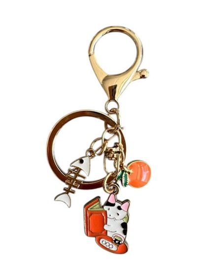 Balıklı Kitapsever Kedi Metal Charm Anahtarlık Çok Renkli Çok Renkli