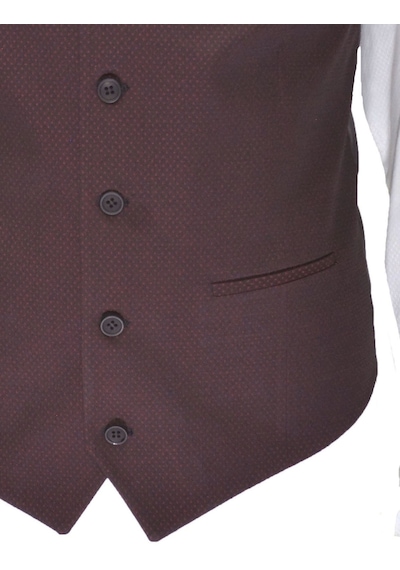 Mentor Regalo Erkek Yelek V Yaka Bordo Puanlı 50304