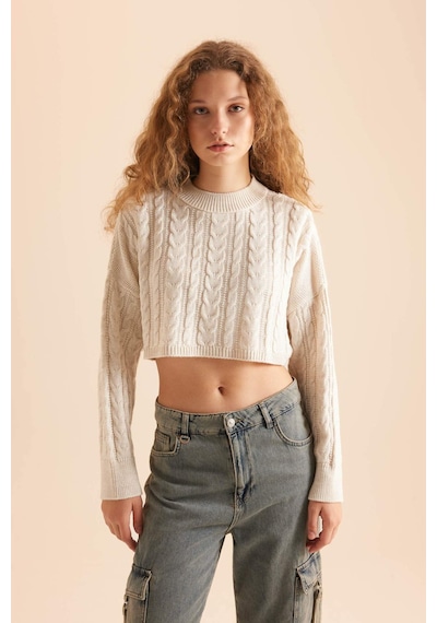 DeFacto Coool Regular Fit Bisiklet Yaka Triko Kazak T4518AZNSBG300 Bej