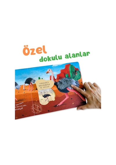 Sincap Kitap İlk Dokun Hisset Kitabım: Çöle Dokun - Melek Dinçer