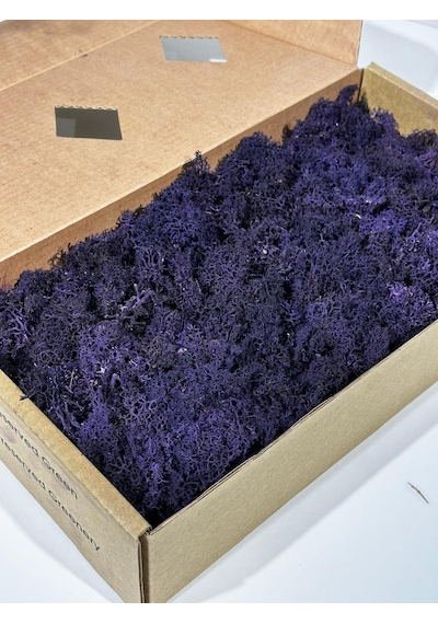 Reindermoss Şoklanmış Norveç Yosunu Terarium Yosunu Mor 5 Kg.