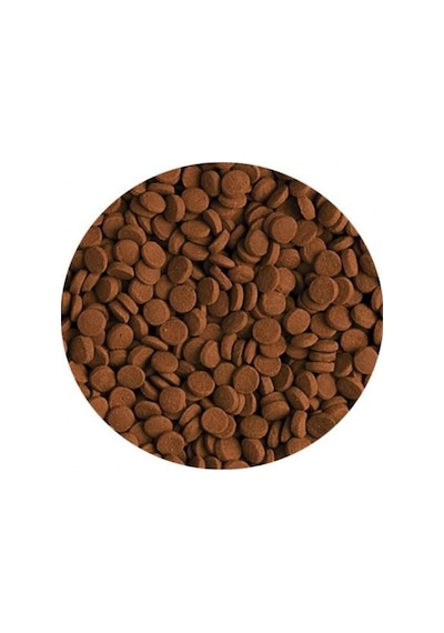 Tropical Carnivore 100gr Kovadan Bölme Yem