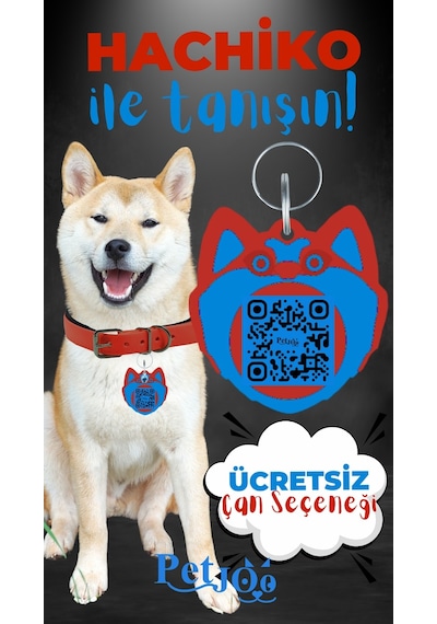 Petjoo 19.Hachiko Mavi-Kırmızı Qr'lı Köpek Künyesi