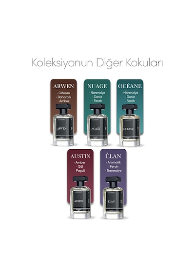 Élan Edp Erkek Parfüm 100ml Aromatik-fresh-füjer Limon, Sedir, Paçuli, Misk Diğer