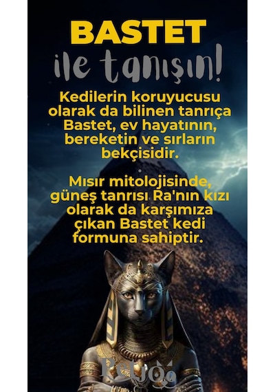 Petjoo 1.Bastet Gri-Sarı Qr'lı Kedi Künyesi