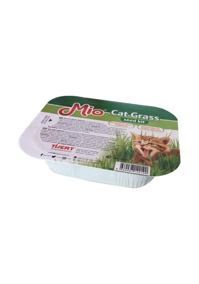 Mio Cat Grass Kutulu Kedi Çimi