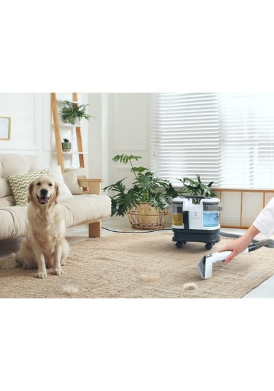 Greenote Halı/koltuk Yıkama Makinesi Ve Spot Temizleyici Sofa, Halı Ve Araç İçin Uygun, Güçlü Islak/kuru Va