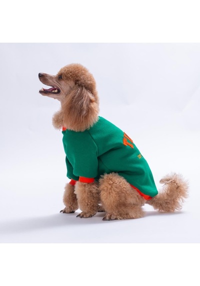 Yeşil Tigger Grove Köpek Sweatshirt Köpek Sweat Köpek Kıyafeti Kedi Kıyafeti