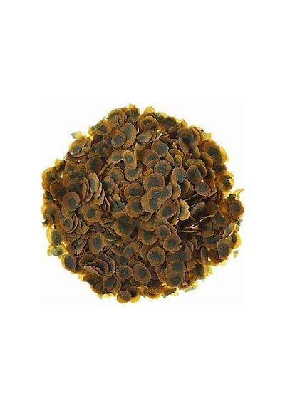 Tetra Pro Algae 100 G - Kovadan Bölme