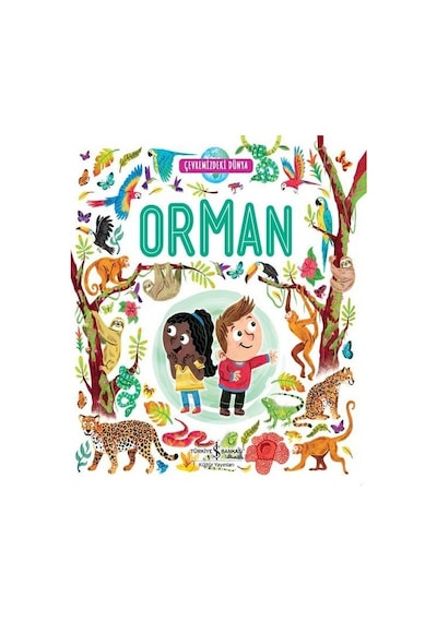 Orman - Çevremizdeki Dünya