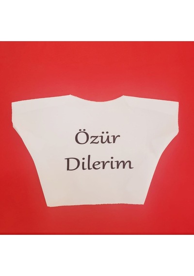 Premium Özür Dilerim Yazılı Peluş Oyuncak Ayı Tişörtü Mini Tişört Eğlenceli Parça Çok Renkli