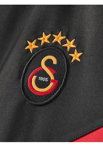 Galatasaray Erkek Eşofman Takım E252126 Siyah