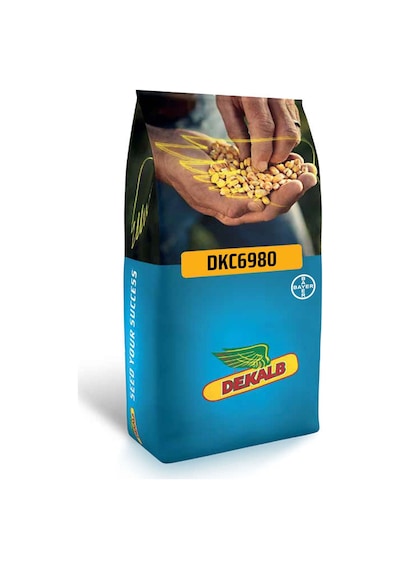 Dekalb Dkc6980 Geçci Danelik Mısır Tohumu