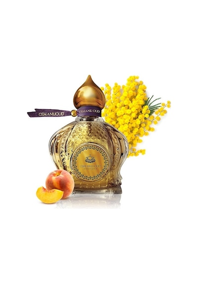 Osmanlı Oud Warriors Aysel Edp 65 Ml Kadın Parfümü Meyveli Çiçeksi 4445 Çiçek - Meyve