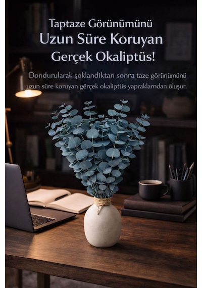 Doğal Yeşil Okaliptüs Demeti Gerçek Okaliptüs, Şoklanmış Büyük Okaliptus Demeti Doğal Yeşil