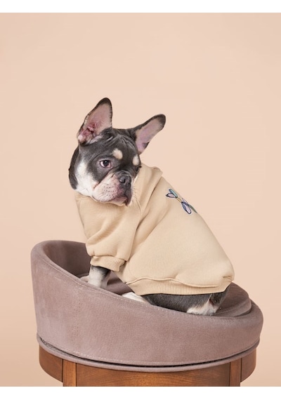 Balloon Küçük ve Orta Irk Köpekler İçin Köpek Sweatshirt