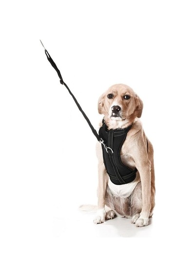 Köpek Araç Emniyet Kemeri Ve Tasması Arnav Siyah, S