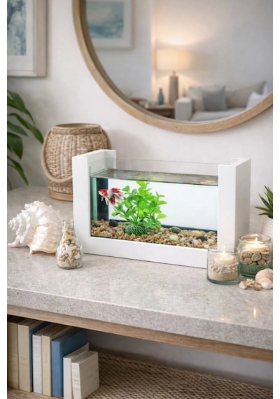 Reyo Ok-ay Store Beta Balığı İçin Ahşap Mini Akvaryum Modern Şık Doğal Minimal Tasarım Akvaryum Beyaz