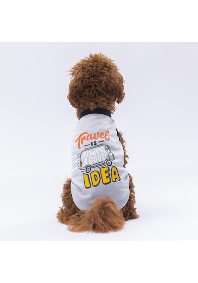 Pawstar Gri Travel Kedi Köpek Tişörtü Kıyafeti
