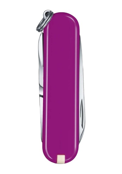 Classic Tasty Grape Mor Kamp Çakı - Victorinox - 0.6223.52g Çok Renkli