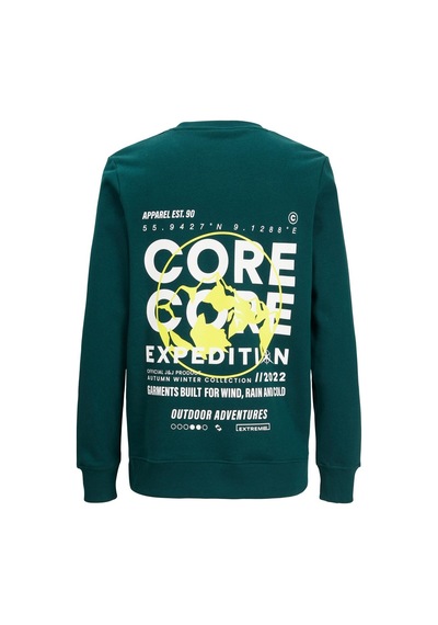 Jack & Jones Erkek Sırt Baskılı Sweatshirt 12223238 001