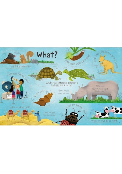 Penguin Books Lift-the-flap Questions and Answers About Animals Board Book Katie Daynes