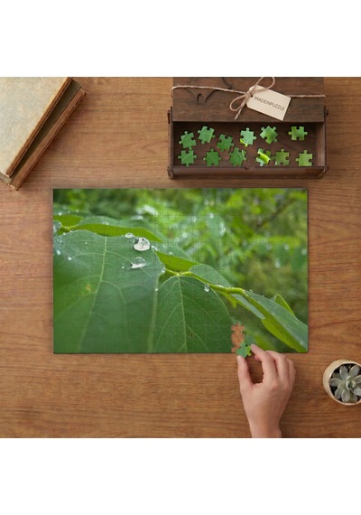 Yapraklara Düşen Damlalar Tasarımı 240 Parça Ahşap Puzzle Ahşap Kutuda Mpy60160