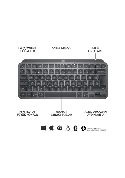 Teknoteg - Art - Logıtech Mx Keys Mını Q Tr Klavye Siyah 920-010504
