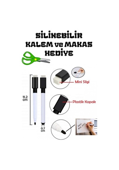 Kıtaları Ve Okyanusları Öğreten Yaz-sil Kitabı