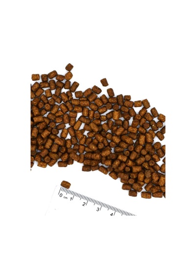 Kitten Tek Proteinli Ördekli Yavru Kedi Maması 1,5 Kg