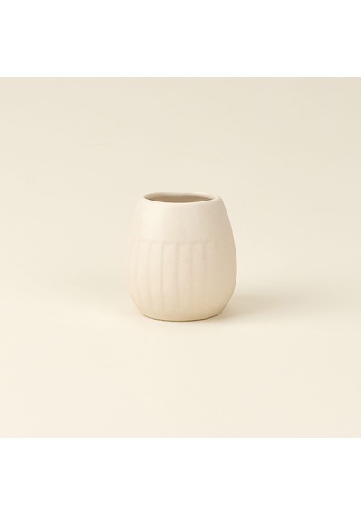 Bath Matte Diş Fırçalık - Krem - 7x6,5 Cm Çok Renkli